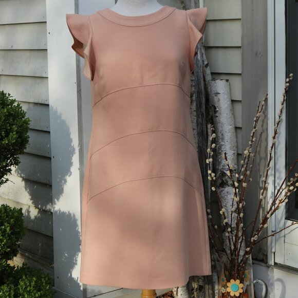 Ann Taylor Blush Knit Flutter Cap Sleeve Seamed Knit Crepe Sheath Dress Sz 6 - Picture 2 of 9